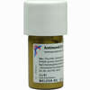 Antimonit D6 Trituration 20 g - ab 15,54 €