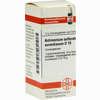 Antimonium Sulf Aurant D10 Globuli 10 g - ab 7,99 €