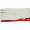 Anus Gl D5 Ampullen 10 x 1 ml - ab 19,63 €