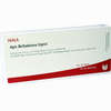 Apis Belladonna Inject Ampullen 10 x 1 ml - ab 18,51 €