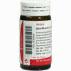 Apis/bryonia Globuli 20 g - ab 7,15 €
