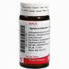 Apis/levisticum I Globuli 20 g - ab 7,18 €