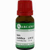 Apis Mellifica Arca Lm 6 10 ml - ab 9,64 €