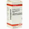 Apis Mellifica D12 Tabletten 80 Stück - ab 7,84 €