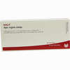 Apis Regina Comp Ampullen 10 x 1 ml - ab 19,28 €