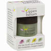 Apothekers Lippenbalsam  1 Stück - ab 2,71 €