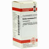 Aralia Racem D4 Globuli 10 g - ab 6,95 €