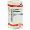 Aralia Racem D6 Globuli 10 g - ab 7,55 €