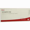 Archangelica Comp Ampullen 10 x 1 ml - ab 19,41 €