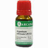 Argentum Nitric Lm 12 10 ml - ab 10,28 €