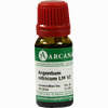Argentum Nitric Lm 6 10 ml - ab 9,64 €