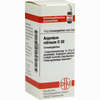 Argentum Nitricum D30 Globuli  10 g - ab 7,25 €