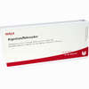 Argentum/rohrzucker Ampullen 10 x 1 ml - ab 19,41 €