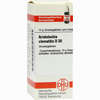 Aristolochia Clem D30 Globuli 10 g - ab 7,84 €