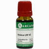Arnica Arca Lm 6 10 ml - ab 9,64 €