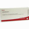 Arnica/aurum I Ampullen 10 x 1 ml - ab 19,41 €