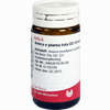 Arnica E Planta Tota D2 Globuli 20 g - ab 7,18 €
