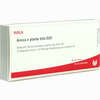 Arnica E Planta Tota D20 Ampullen 10 x 1 ml - ab 19,41 €
