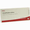 Arnica/plumbum Mellitum Ampullen  10 x 1 ml - ab 19,41 €