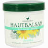 Arnika Balsam Herbamedicus  250 ml - ab 2,40 €