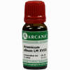 Arsenicum Album Lm 18 10 ml - ab 10,36 €