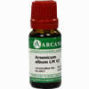 Arsenicum Album Lm 6 10 ml - ab 9,71 €