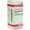 Artemisia Vulg D12 Globuli 10 g - ab 7,55 €