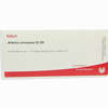 Arteria Coronaria Gl D8 Ampullen 10 x 1 ml - ab 19,31 €