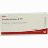 Articulatio Sacroil Gl D15 Ampullen 10 x 1 ml - ab 0,00 €