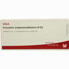 Articulatio Temp Gl D5 Ampullen 10 x 1 ml - ab 19,41 €