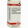 Arundo Mauritan C6 Globuli 10 g - ab 7,55 €
