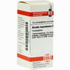 Arundo Mauritan D12 Globuli 10 g - ab 7,85 €