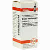 Arundo Mauritan D6 Globuli 10 g - ab 7,55 €