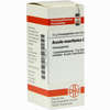 Arundo Mauritanica C30 Globuli 10 g - ab 7,84 €