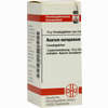 Asarum Europaeum C30 Globuli  10 g - ab 7,84 €