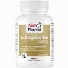 Astragalus Pro 500/50 - 50 Mg Astragaloside Iv 60 Stück - ab 18,08 €