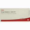 Atropa Bellad E Radice D12 Ampullen 10 x 1 ml - ab 0,00 €