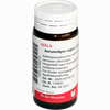 Aurum/apis Regina Comp Globuli 20 g - ab 7,15 €