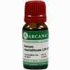 Aurum Muriaticum Lm 6 10 ml - ab 9,64 €