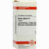 Avena Sativa D4 Tabletten 80 Stück - ab 10,71 €