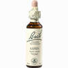 Bach- Blüte Aspen Tropfen 20 ml - ab 8,78 €