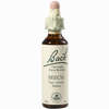 Bach- Blüte Beech Tropfen 20 ml - ab 8,91 €