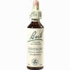 Bach- Blüte Centaury Tropfen 20 ml - ab 8,99 €
