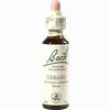 Bach- Blüte Cerato Tropfen 20 ml - ab 8,92 €