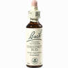 Bach- Blüte Chestnut Bud Tropfen 20 ml - ab 8,93 €