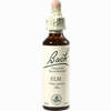 Bach- Blüte Elm Tropfen 20 ml - ab 8,92 €