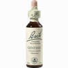Bach- Blüte Gentian Tropfen 20 ml - ab 8,80 €