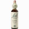 Bach- Blüte Gorse Tropfen 20 ml - ab 8,87 €