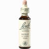 Bach- Blüte Holly Tropfen 20 ml - ab 8,80 €