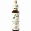 Bach- Blüte Honeysuckle Tropfen 20 ml - ab 7,33 €